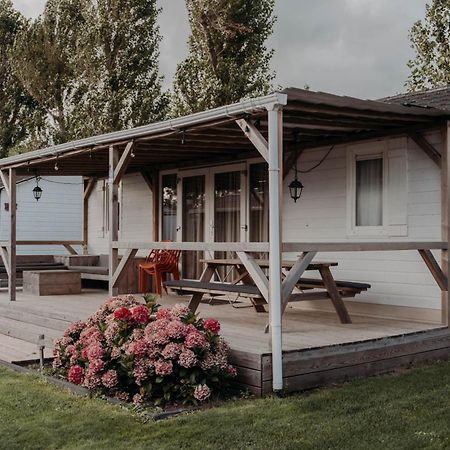 Chalet Tulpenweide - Recreatie Breezand エクステリア 写真