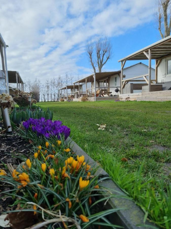 Chalet Tulpenweide - Recreatie Breezand エクステリア 写真